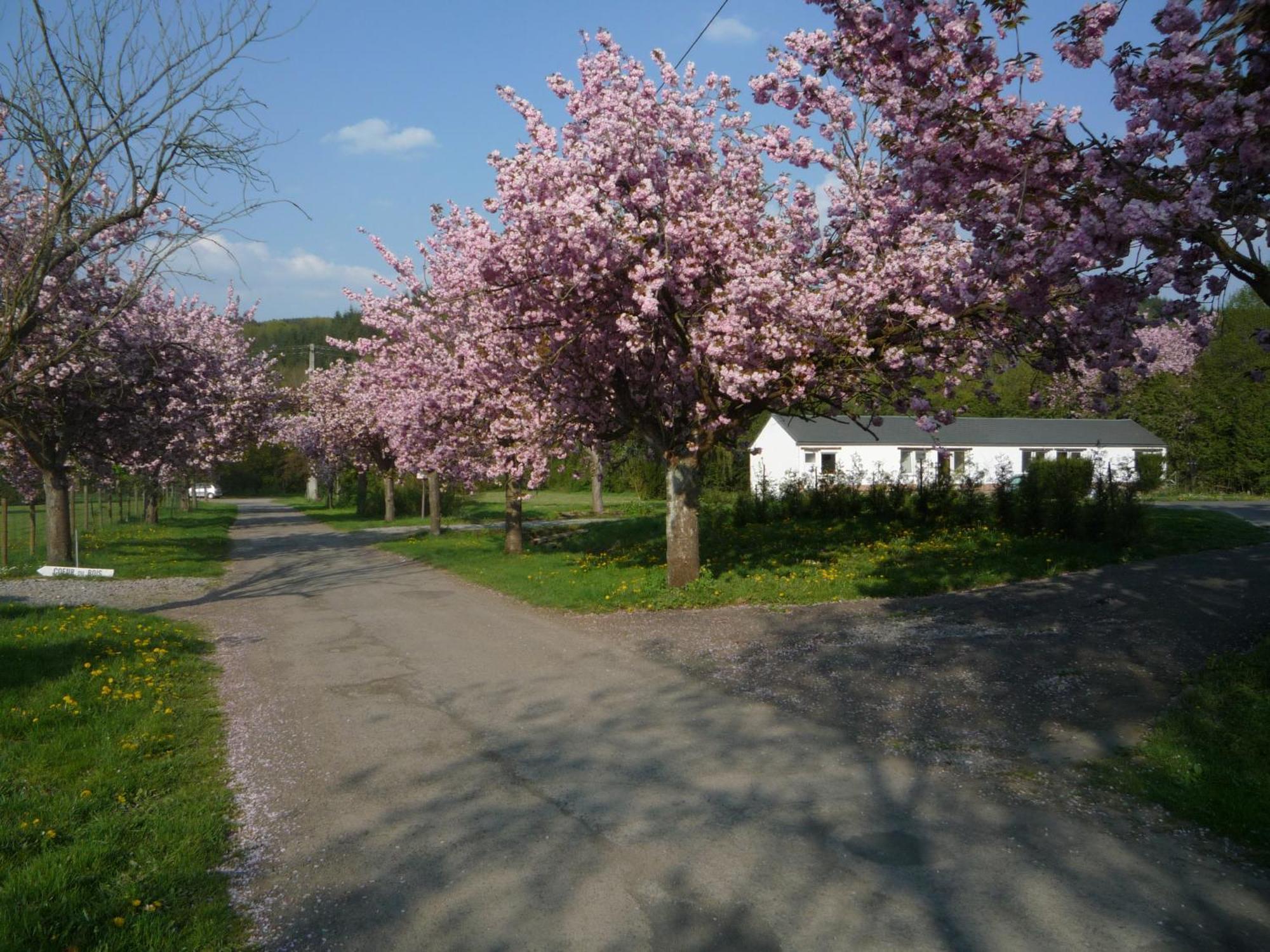 Le Brissoneau Rendeux Motel Exterior photo